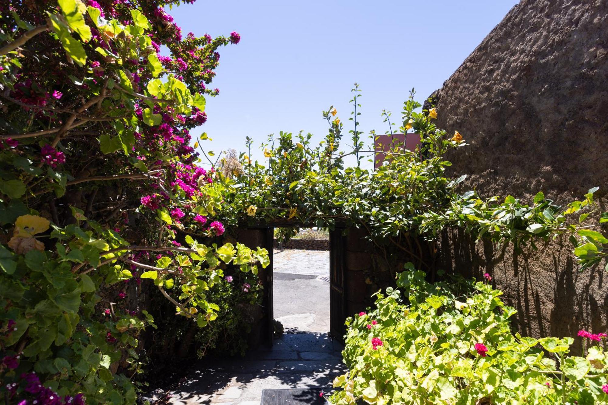 Charming Rustic House El Pinar & Wifi El Pinar (El Hierro) Exterior foto